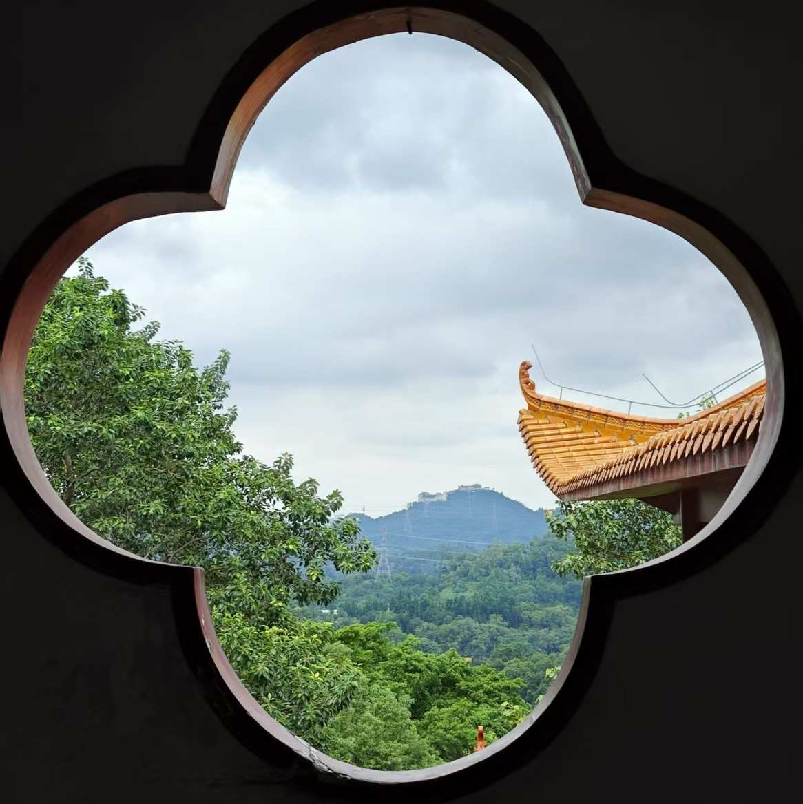 爆花六的个人主页