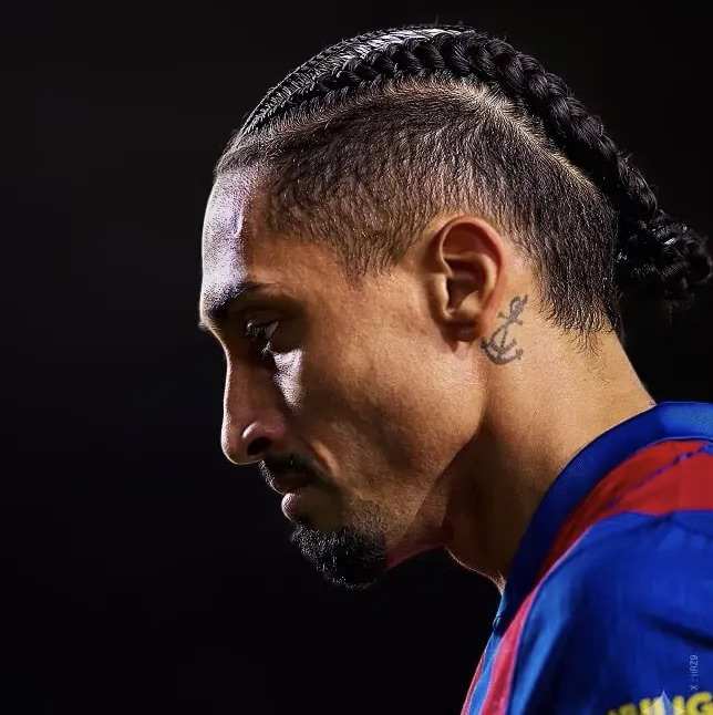 缤纷乐的个人主页