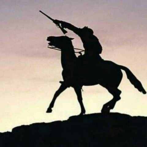 球探凌凌漆的个人主页