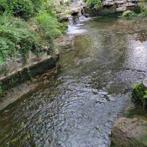 人来疯评球的个人主页