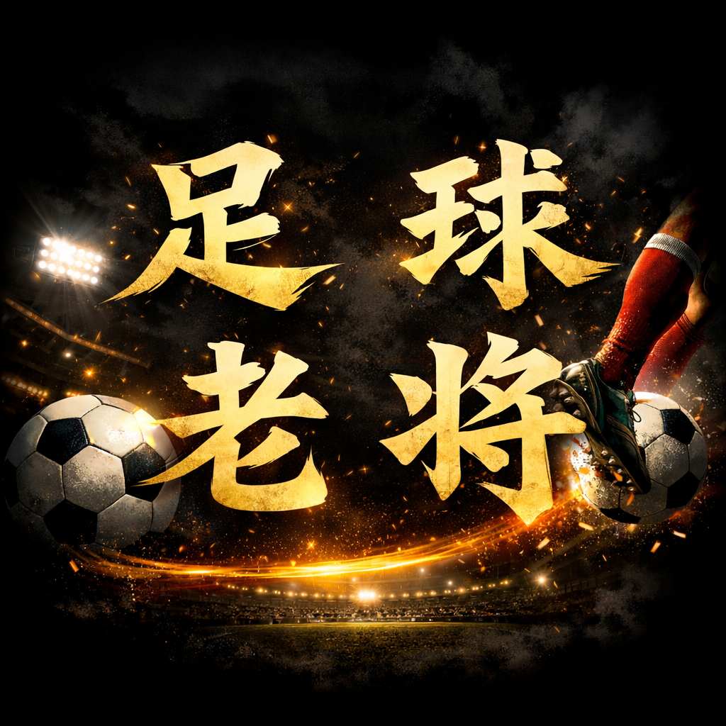 足球老将的个人主页