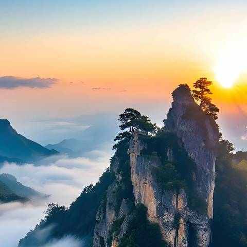 九哥导球的个人主页