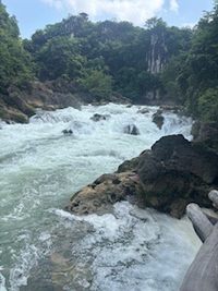 文心静的个人主页