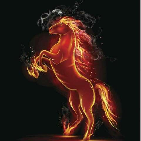 马中赤兔的个人主页