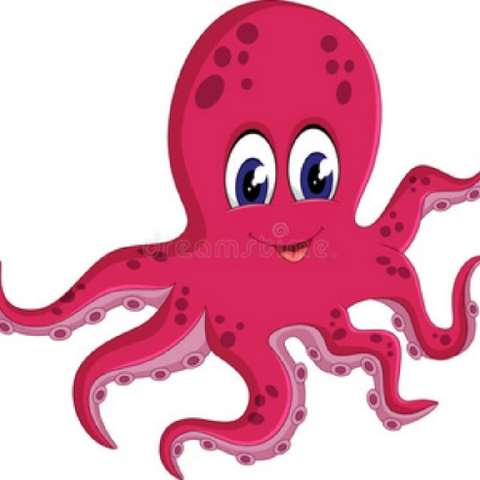 我爱一条柴的个人主页