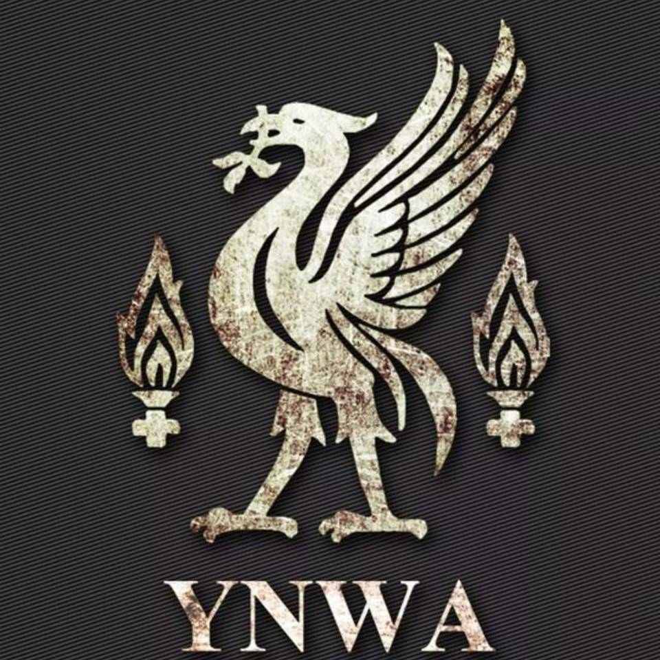 草间球活的个人主页