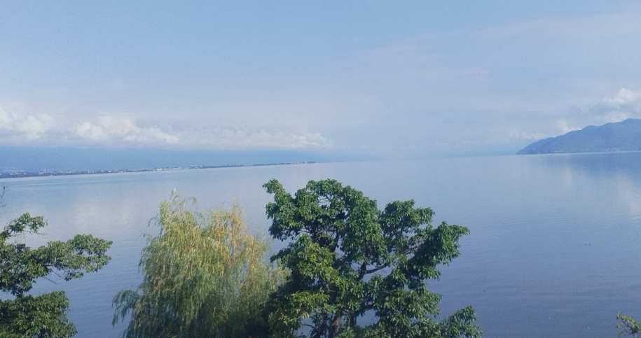 道法自法的个人主页